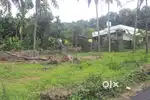 Plot for sale at Kalamassery.