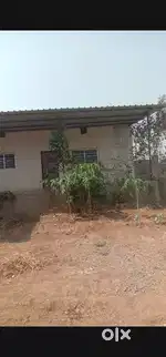 Form house(10000 s/f) , Amleshwar Sankra