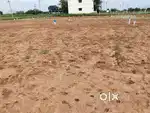 Theni near Arts& science,LAW,ITI,vetinary college DTCP plots for sale
