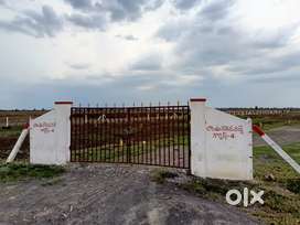 Home Plots - Opp. VVIT Engineering College, NAMBURU