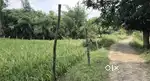 6 ari khet