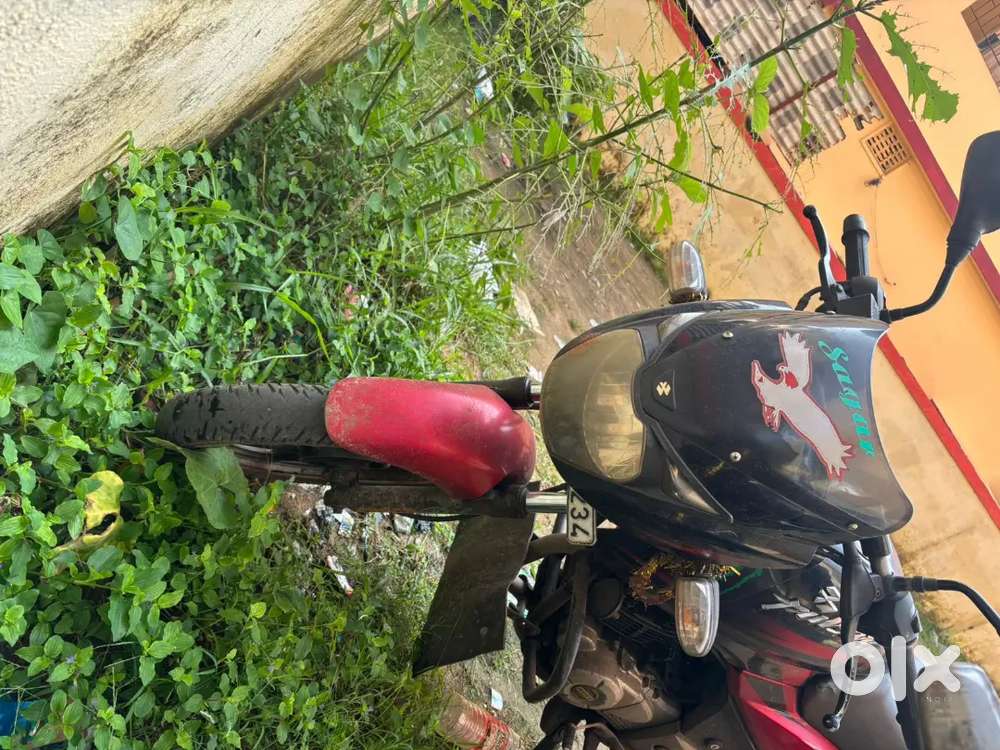 Pulser 150