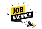 Required Female candidate for Office assistant role