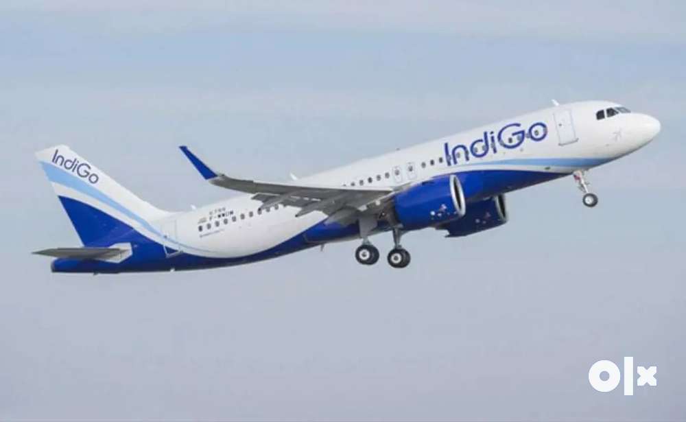 Urgent hiring for indigo airlines apply fast