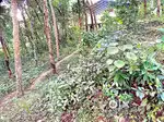 13 cent plot for sale in Vanchiyoor, Alamcode, Attingal