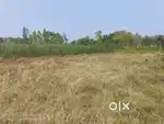Pisinikada village anakapalli mandal anakapalli district
