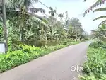 10  CENT ORGINAL LAND IN ALUVA UC COLLEGE NEAR KARUMALLUR