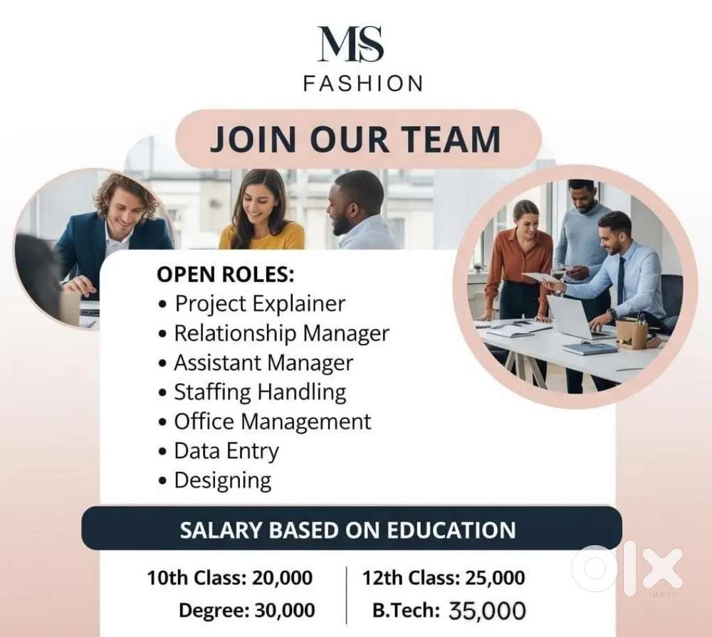 Web Application Development,Logo designing,System work and data entry.