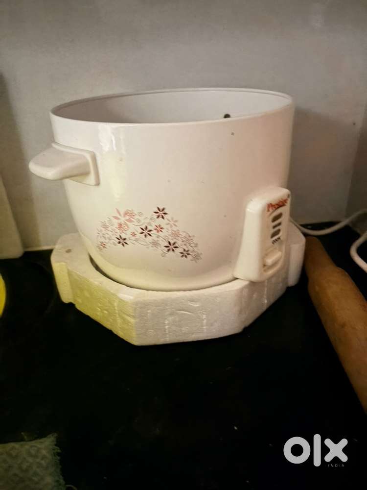 Electric rice cooker