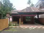 5.5 cent plot and House for sale