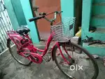 Girls ladybug cycle