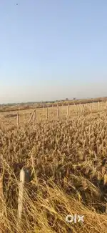 NAVI MUMBAI INTERNATIONAL AIRPORT OPEN PLOTS