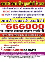 Sandar Offer Rakhi ka