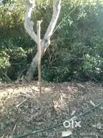 It's very urgent I am selling my land  plzz call me