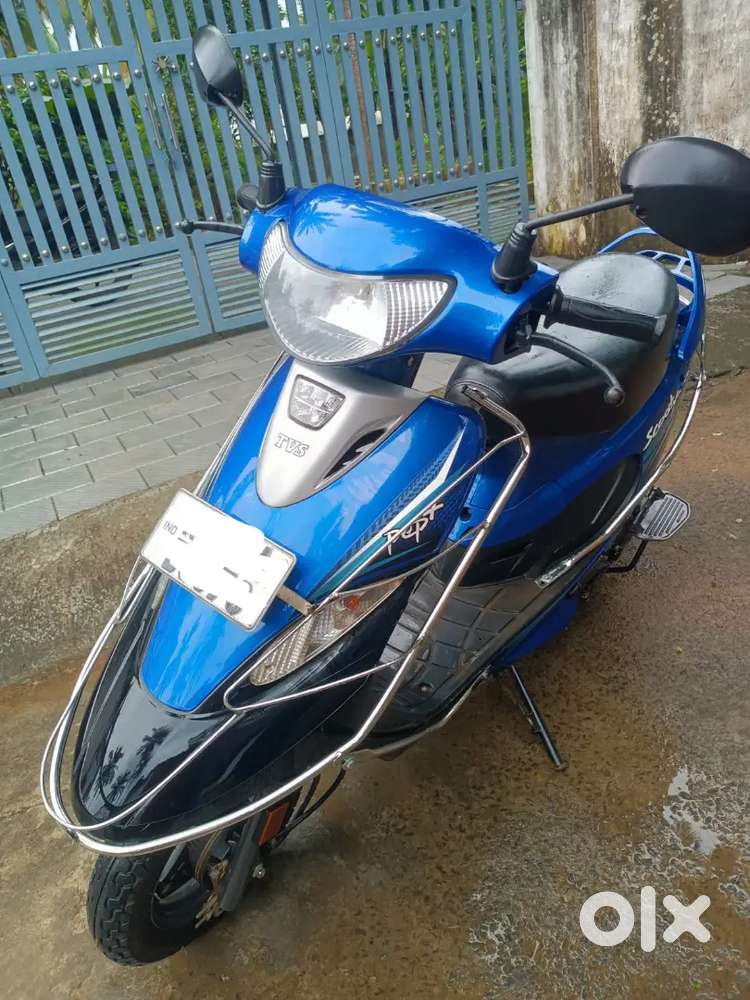 PEP 2021 MODEL