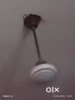 Oreint fan brpwn colur 450 rpm speed