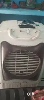 Cooler 3yr old