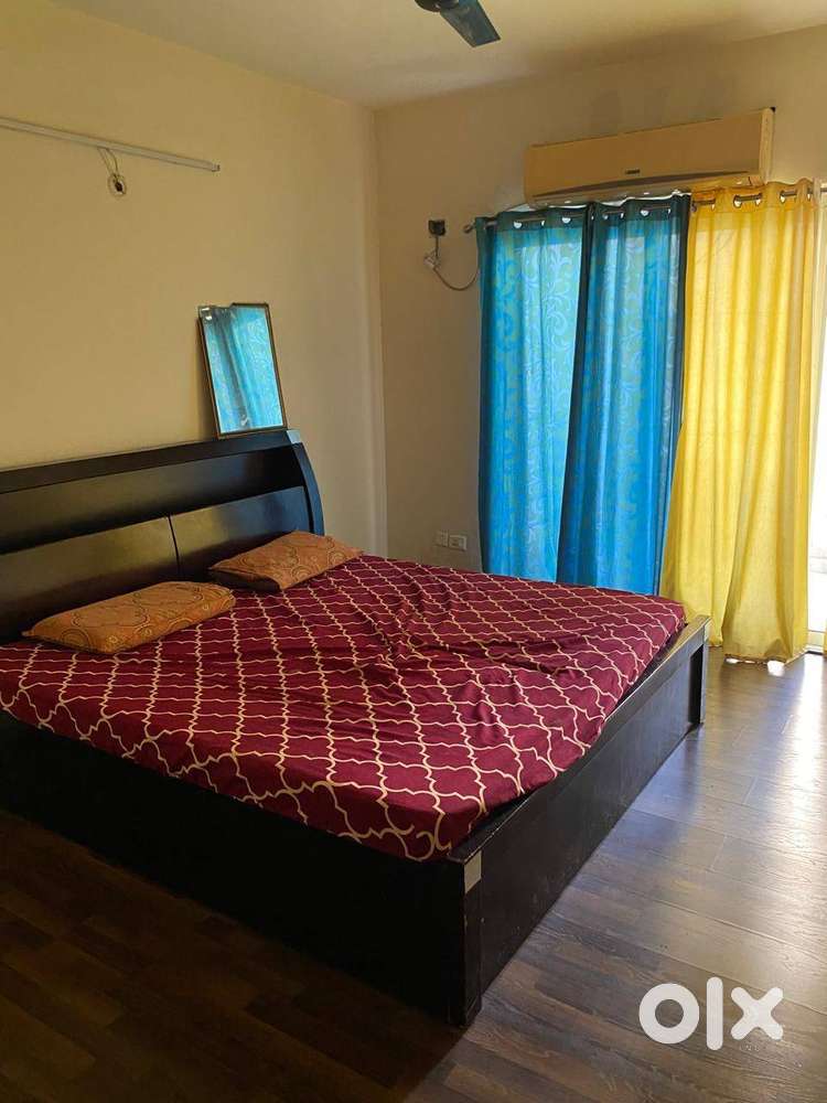 3BHK SEMI FURNISHED FLAT FOR RENT IN PARAS SEASONS NOIDA SECTOR 168