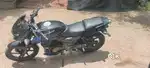 Pulsar 150 Black Decal Blue