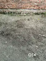 Plot for sell
