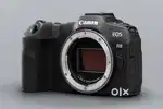Canon R8 with 24-105STM