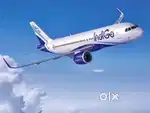 Job in indigo airlines 2025