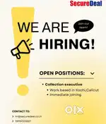 COLLECTION EXECUTIVE