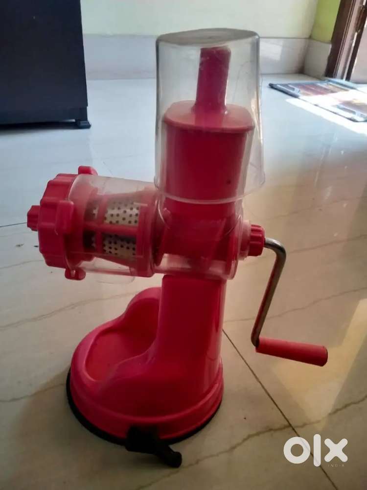 Fruit juicer