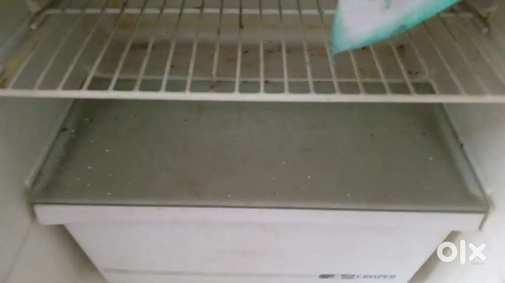 fridge 42ft hai