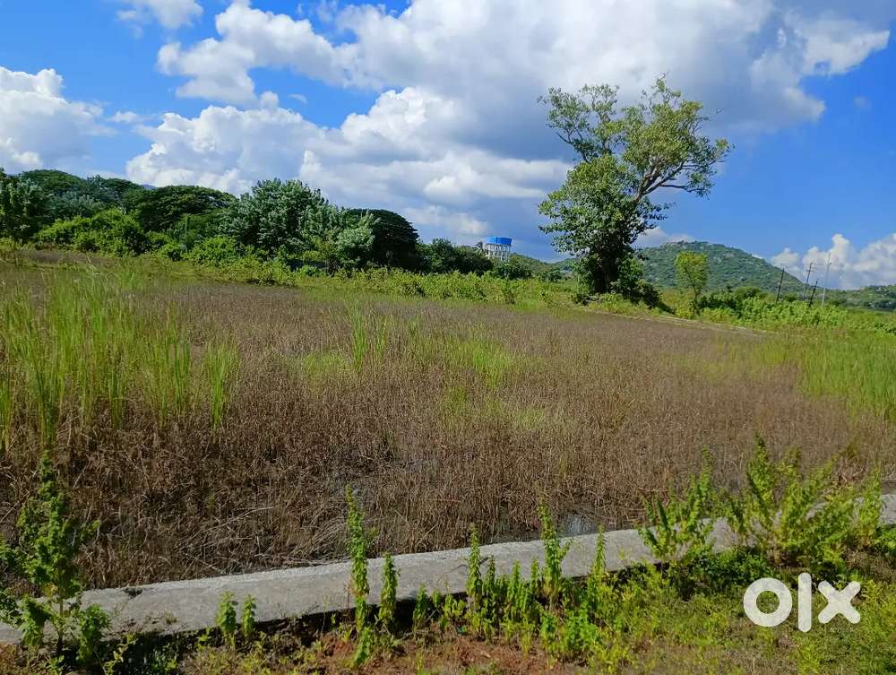 I am selling plot in haridakhandi utaarmukhi road berhampur