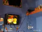 Worldteth tv selling by 3500 yadlaprur call me