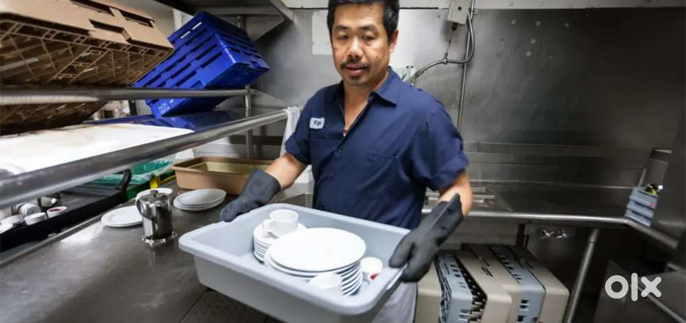 Wanted dish washer immediate joining