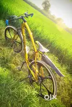 For adults and 20-25 age person in golden colour