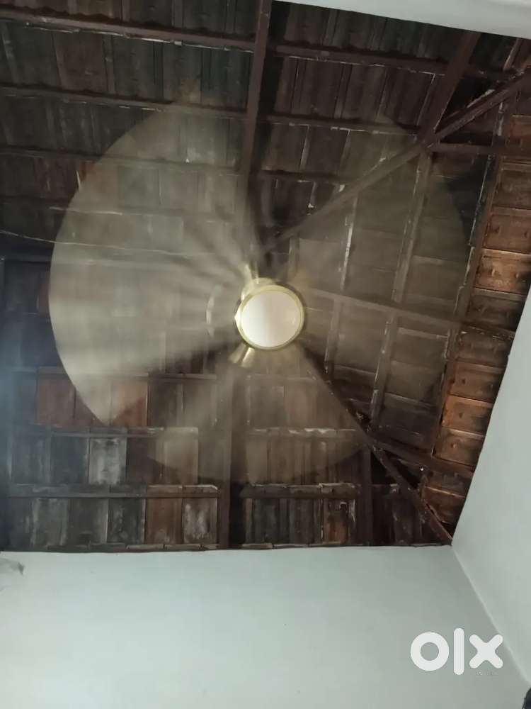 Perfectly working crompton fan!!