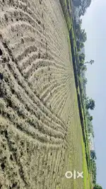 Borlam Shivar, Koyyagutta Kamareddy  Main Road