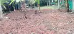 Plot for sale. 8.30 cent for sale in മേനിലം road, Thirvallam