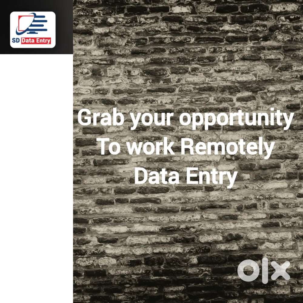 Good opportunity Data Entry Jobs