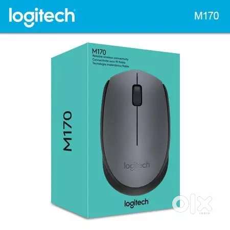 Logitech Mouse M170