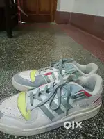 Solid Adidas Forum mens shoes