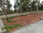 New Plot For Sale Near Kaniyapuram Andoorkonam