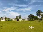 DTCP SITE FOR SALE NEAR KARAMADAI
