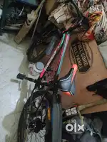 Leader cycle