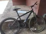 Falcone cycle non gear