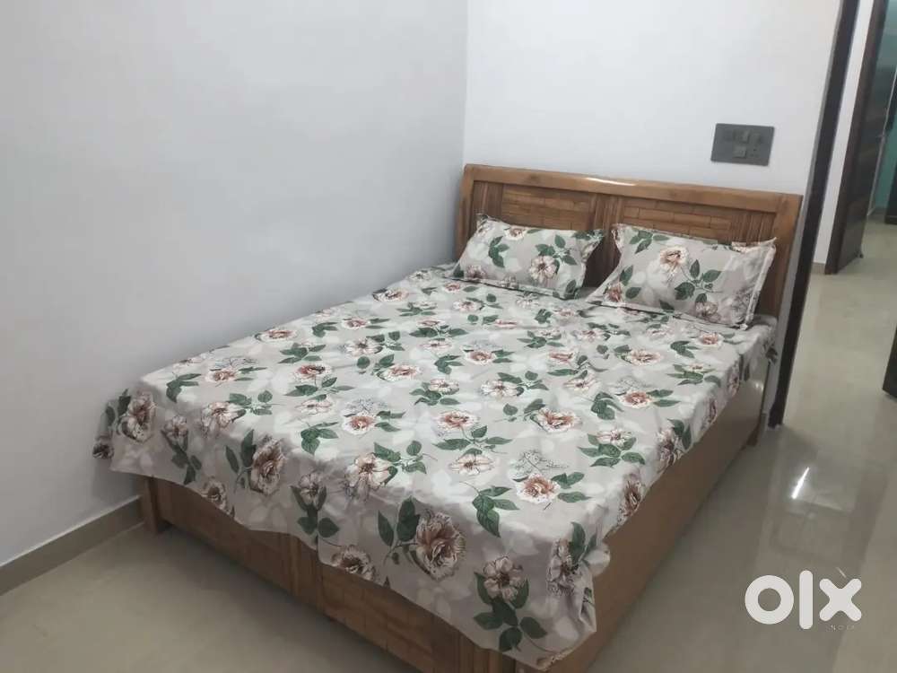Two bhk full furnished flat for rent in mayur vihar phase 1