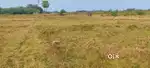 Agriculture land lrs for sale