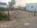 Residential plot in Alanganallur gate kadai