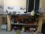 Room rent and only ladies jahara darkar achi jaldi msg kara