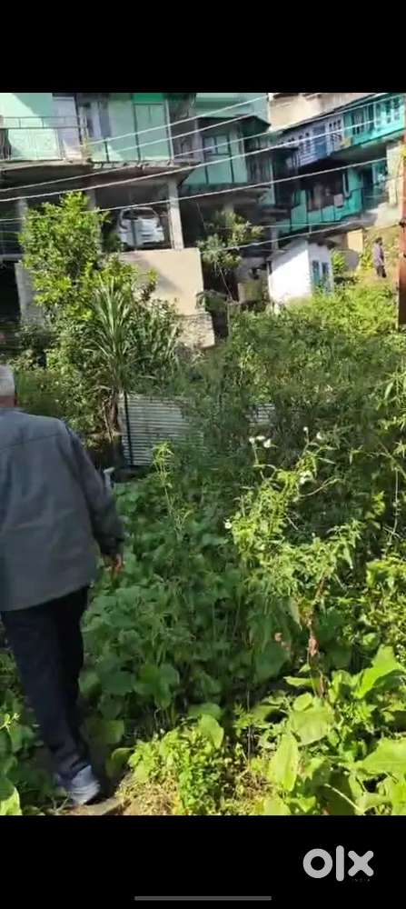 Land for Sale in Phagli Shimla