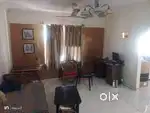 Need a single roommate