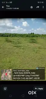 Farm Land for Sale